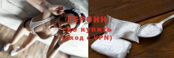 гидра Нестеровская