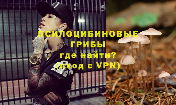 мяу мяу кристалл Елизово