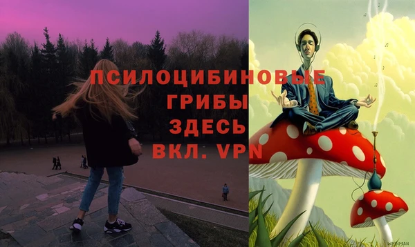 синтетический гашиш Елабуга