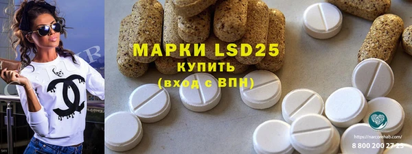 spice Ельня