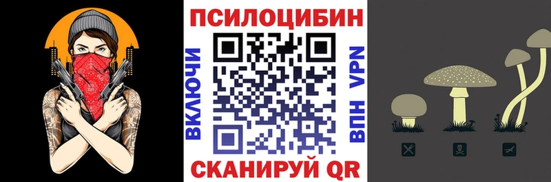 Галлюциногенные грибы MAGIC MUSHROOMS  наркотики  Сретенск 